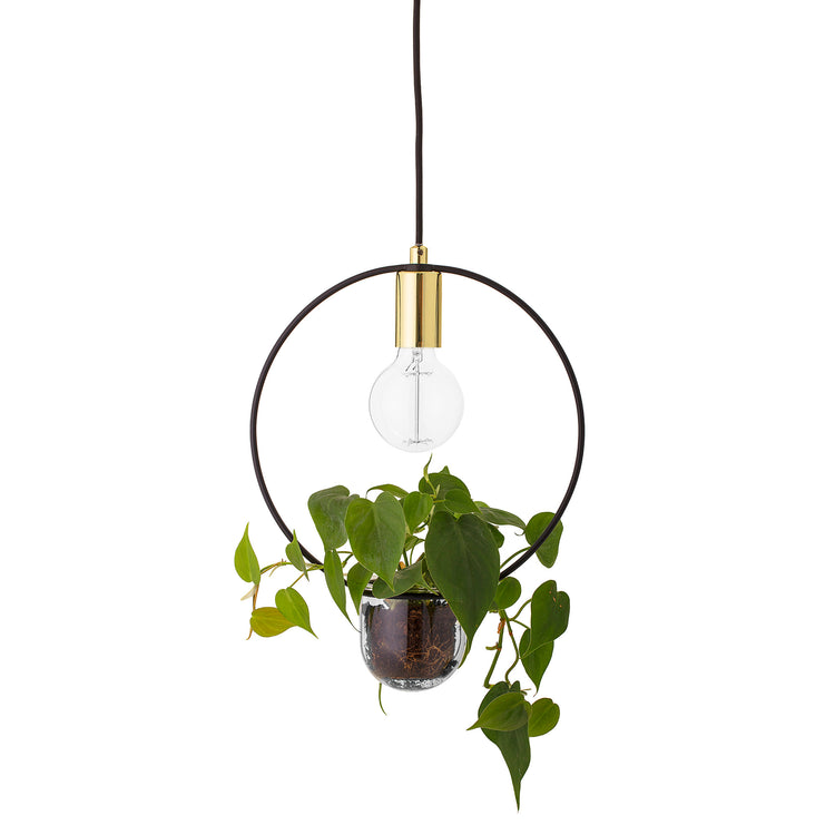 Caralina Pendant Light