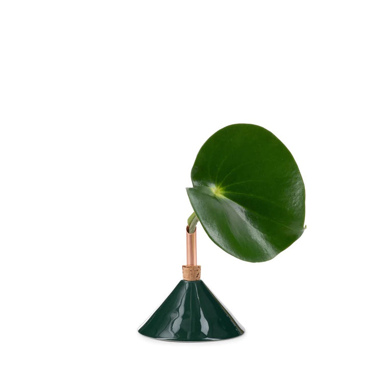 ceramic bud vase consilium hunter green