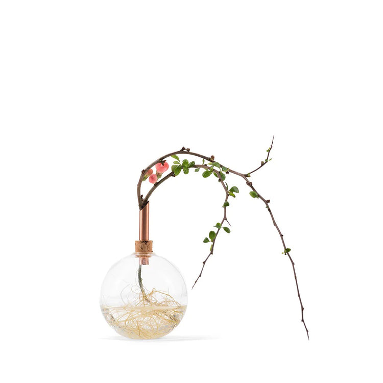 Glass vase glasilium water vase