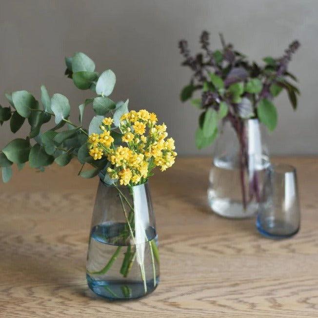 Propagation Vase Kinto