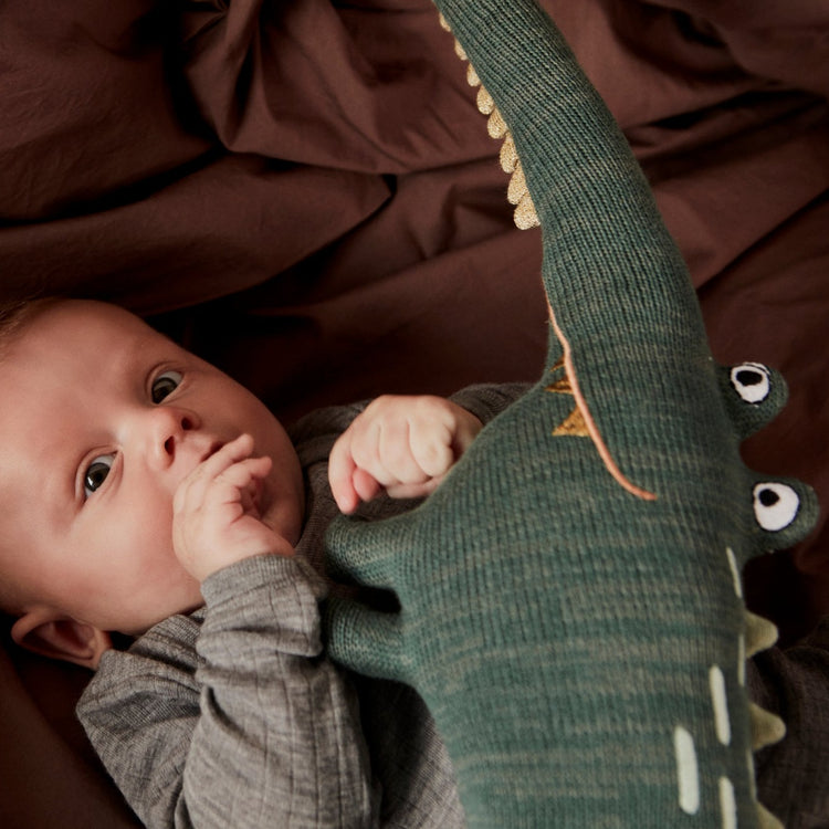 OYOY Mr Crocodile Gustav
