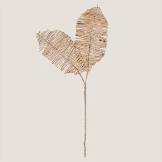 Decorative Flower Delicado