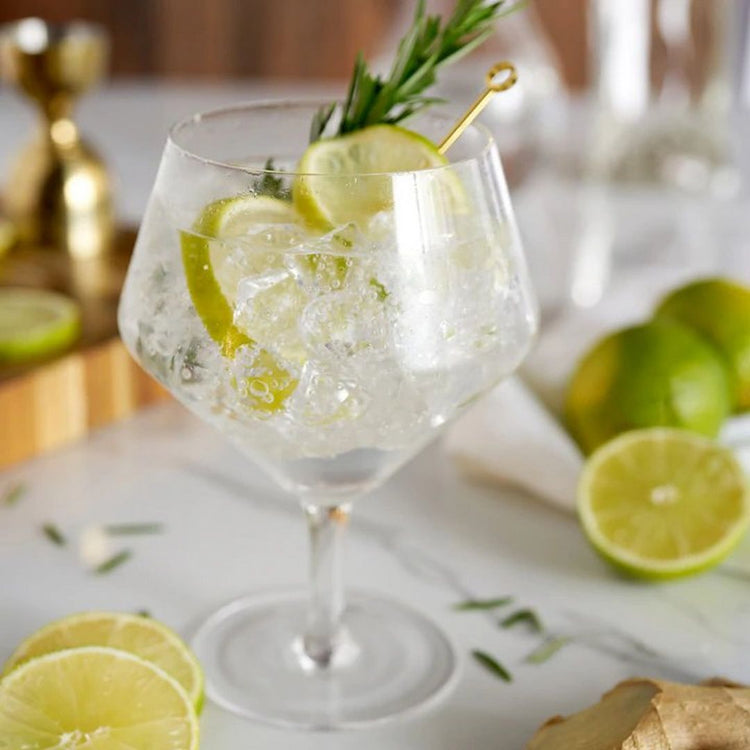 Angled Crystal Gin & Tonic Glasses (set of 2)