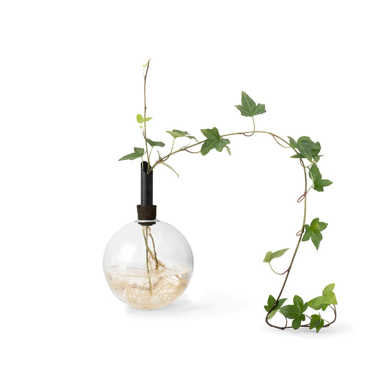 Glass vase glasilium swedish design