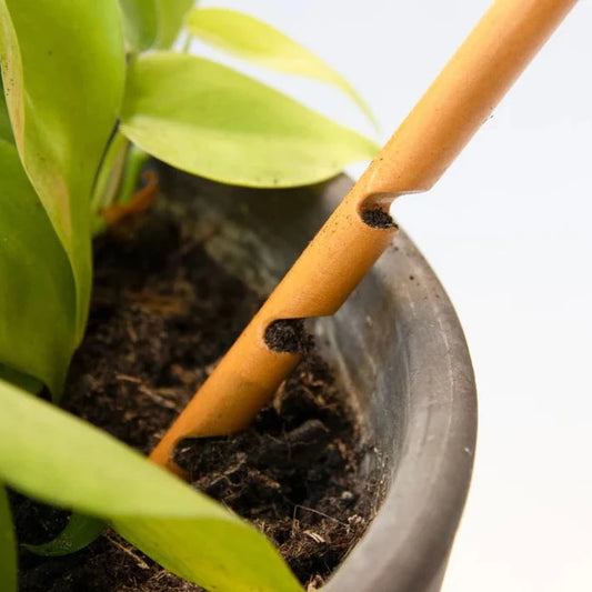 The Soil Checker