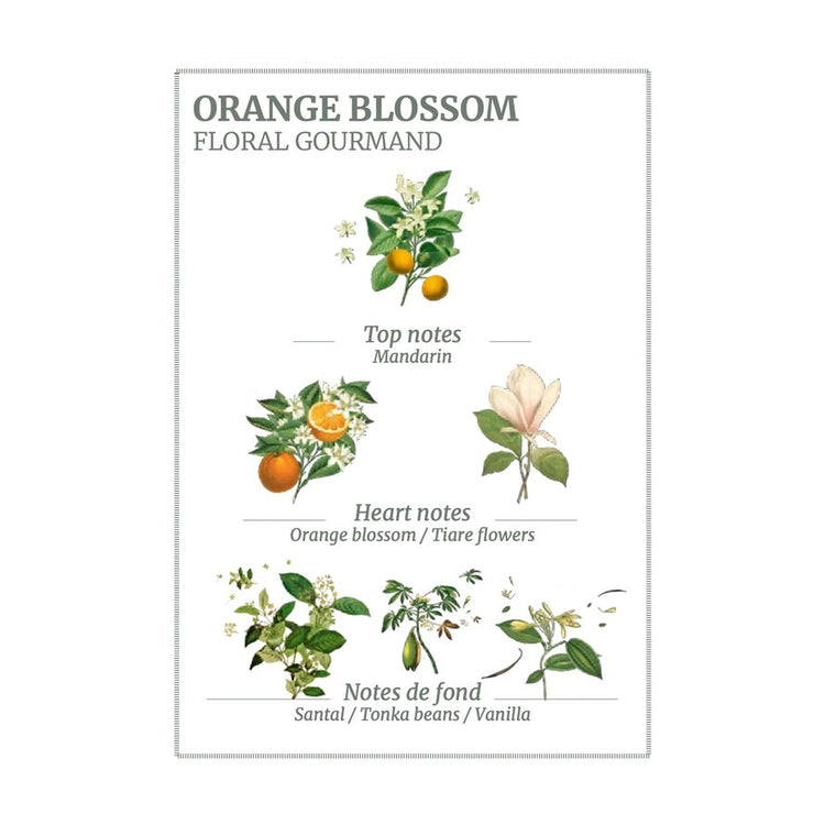 Panier des Sens - Orange Blossom Hand Cream