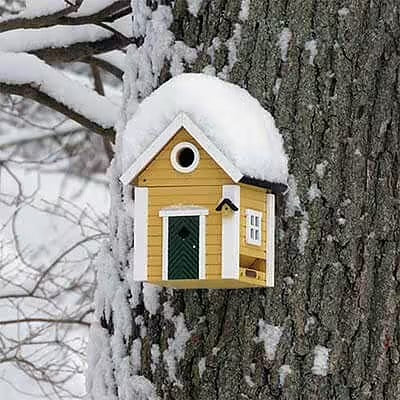 Birdhouses