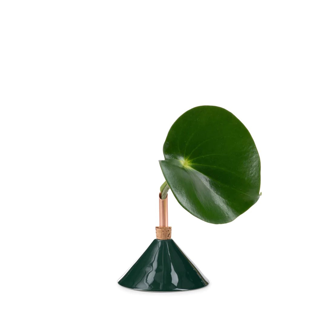 ceramic bud vase consilium hunter green