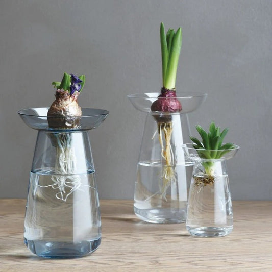 Propagation Vase Kinto