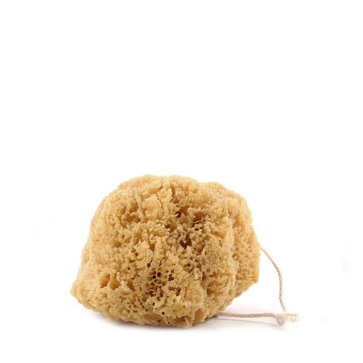 Mediterranean Natural Bath Sponge