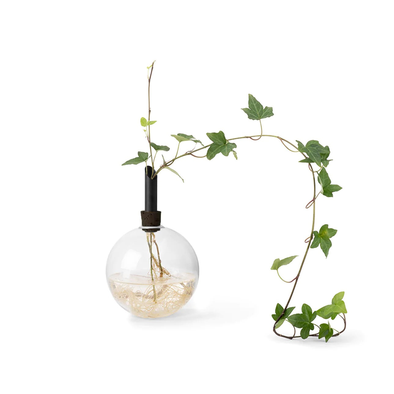 Glass vase glasilium swedish design